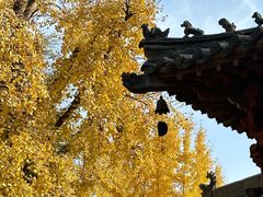 -洛阳白马寺