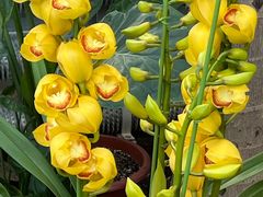 -国家植物园南园