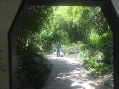 -汇龙潭