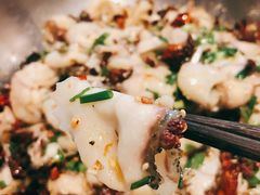 黑鱼-百岁鱼(七一路店)