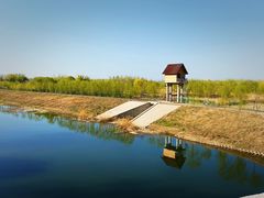 -东郊湿地公园