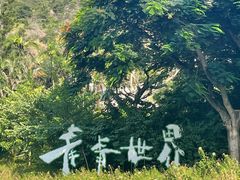-青青世界