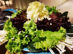 -青瓷火锅料理(西单大悦城店)