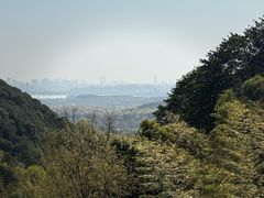 -韬光茶庵