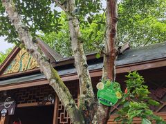 -野象谷景区