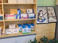 -猫十亿·布偶金渐层·曼基康矮脚猫舍(青年路店)