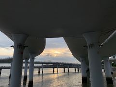 -演武大桥观景平台