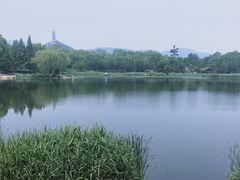 -北坞公园