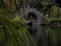 -四海公园(南山区)