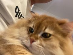 -佳雯宠物医院·皮肤科·内外科(春晓路分院)