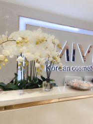 -MIVI野生眉纹绣纹眉