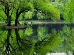 -上海共青森林公园