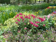 -上海共青森林公园