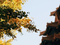 -故宫博物院(故宫)