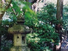 -醍醐寺
