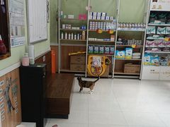 -瑞鹏宠物医院·夜间急症·心超·猫科(祖庙分店)