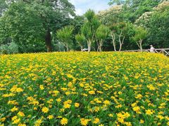 -广州市流溪河国家森林公园