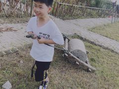 -海上花岛玫瑰园采摘