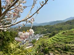 -篁岭景区