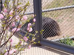 -沈阳森林动物园