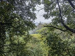-青城山