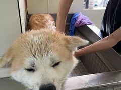 -宠颐生动物医院·小陆分院