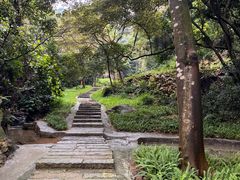 -黄埔油麻山森林公园