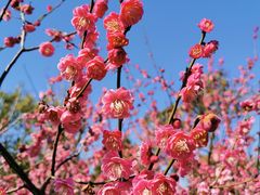 -广富林郊野公园