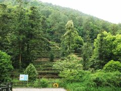 -九龙潭景区