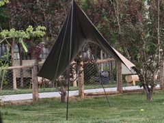 -爪吧宠物乐园 (温榆河示范区店)