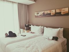 -新加坡柏薇罗切斯特酒店