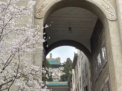 -武汉大学-樱园