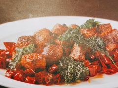 -大鸭梨烤鸭(望京店)
