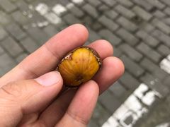 -阿男野栗王(金门路店)