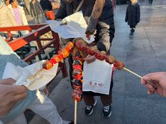-糖葫芦王保定名吃(古莲花池店)