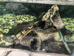 -Zoolung Zoolung动物主题公园(海信广场店)