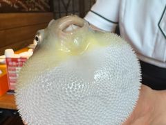 -永安鱼庄·镇江菜(丁卯店)
