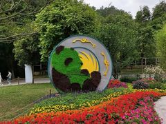 -深圳仙湖植物园