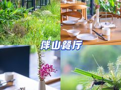 -普洱太阳河森林公园