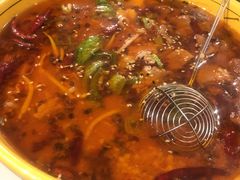 -熊猫川菜馆 panda chine