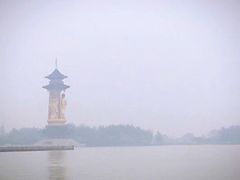 -溱湖国家湿地公园