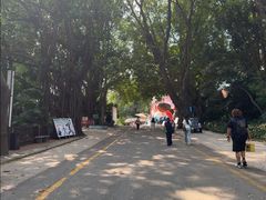 -深圳野生动物园
