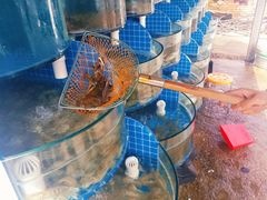 -正亮农家院·海鲜本地菜