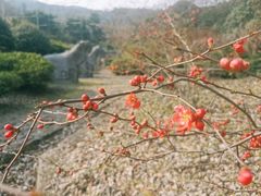 -雨花胜境