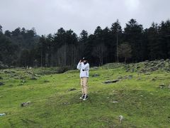 -硗碛藏寨·神木垒景区