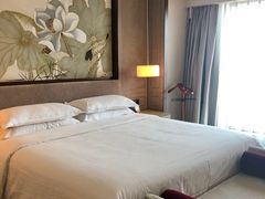 -上海嘉定喜来登酒店