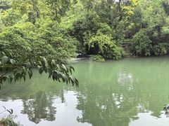 -花溪公园
