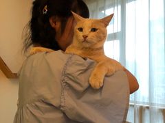 -猫咖时代(中山亭店)