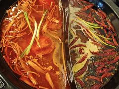 -重庆川渝肥妹火锅