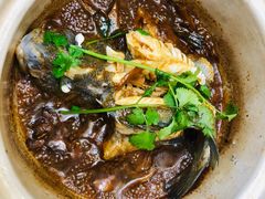 姜母香锅鱼pic-鑫鸿达·海鲜闽菜热炒小馆(中山路店)